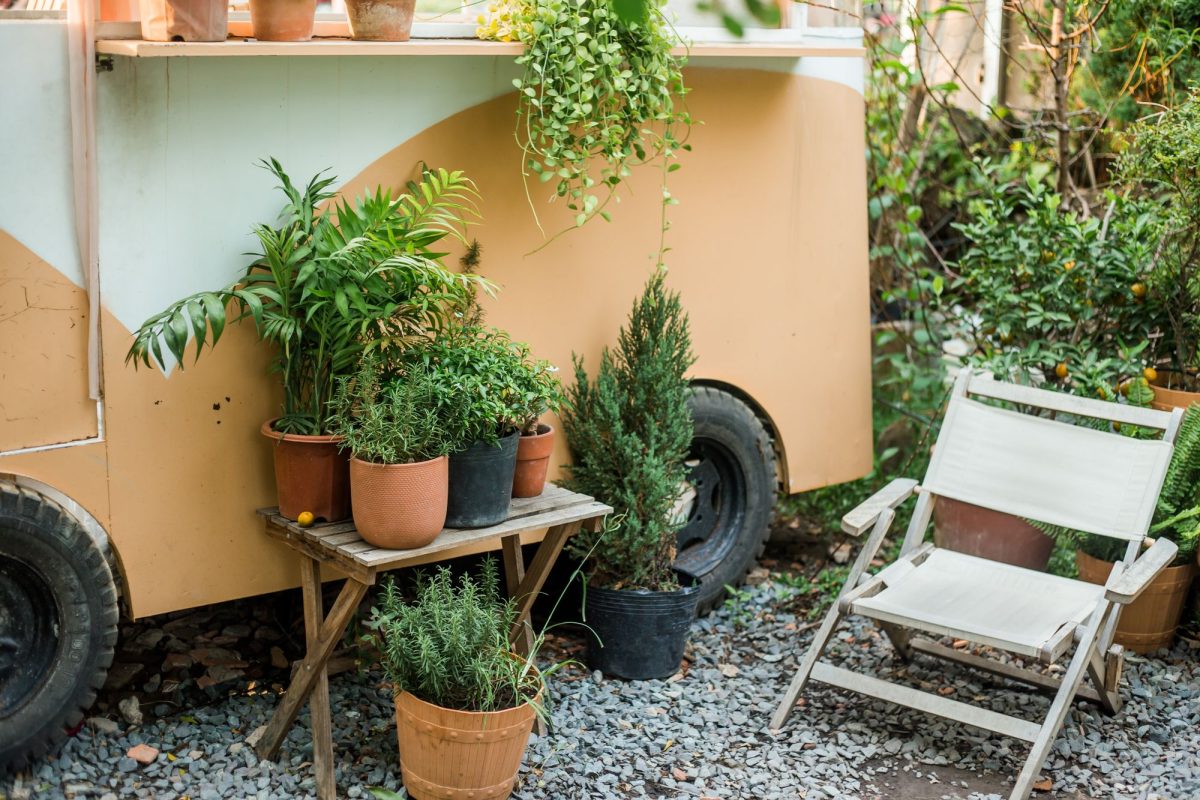Petit coin de jardin en terrasse avec plantes en pots et chaise pliante