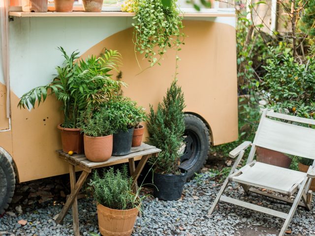 Aménager un petit jardin : guide pratique et conseils