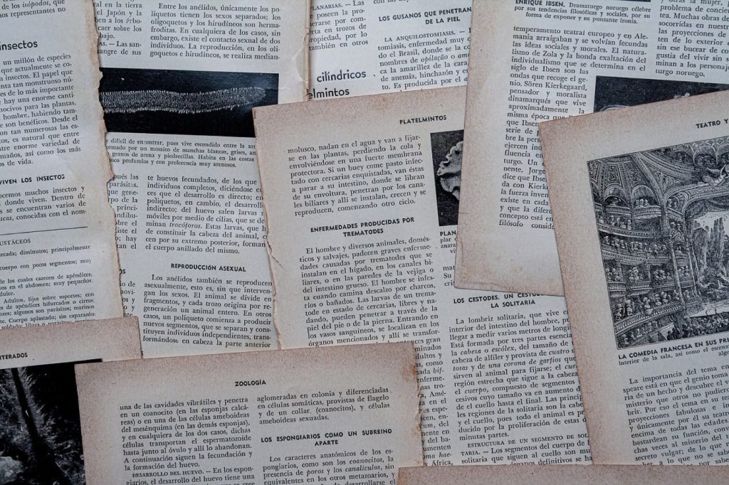 Kindle ou Kobo : quelle liseuse pour lire beaucoup