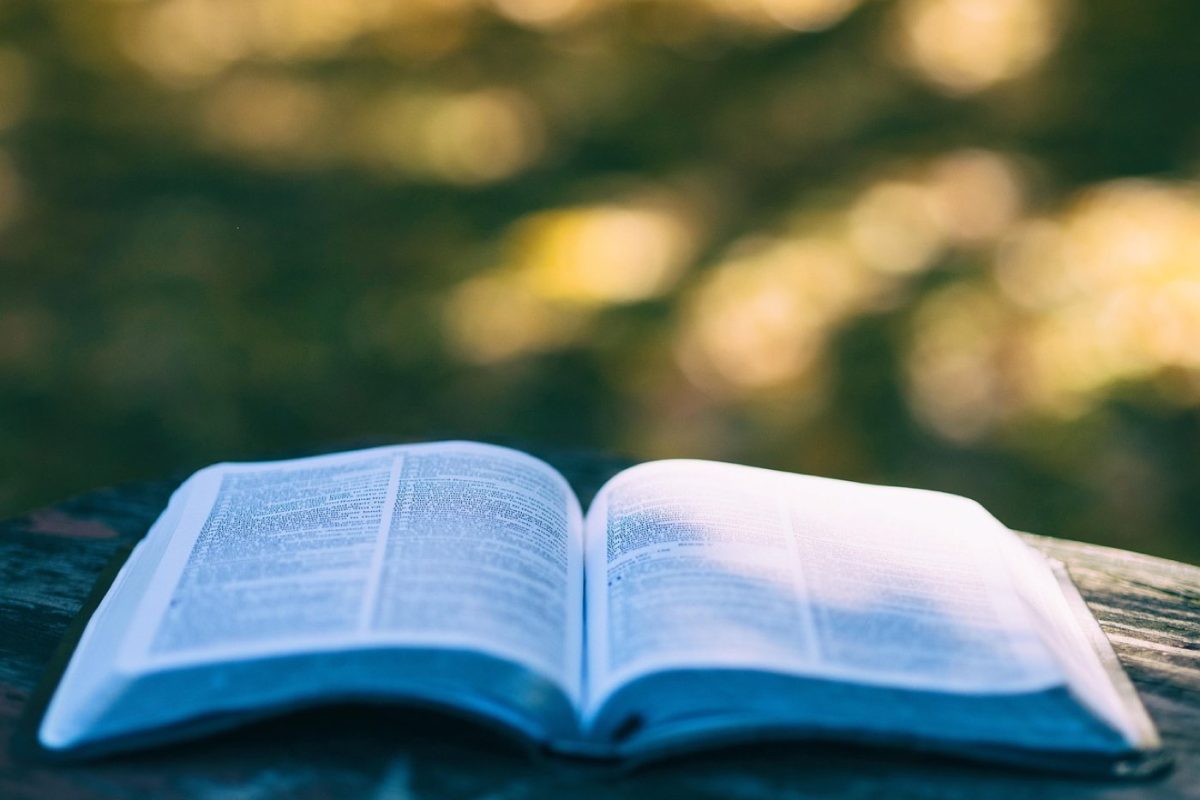 Rencontres et lectures dans les festivals de voyage