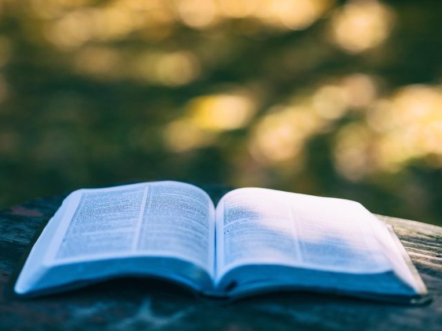 Rencontres et lectures dans les festivals de voyage