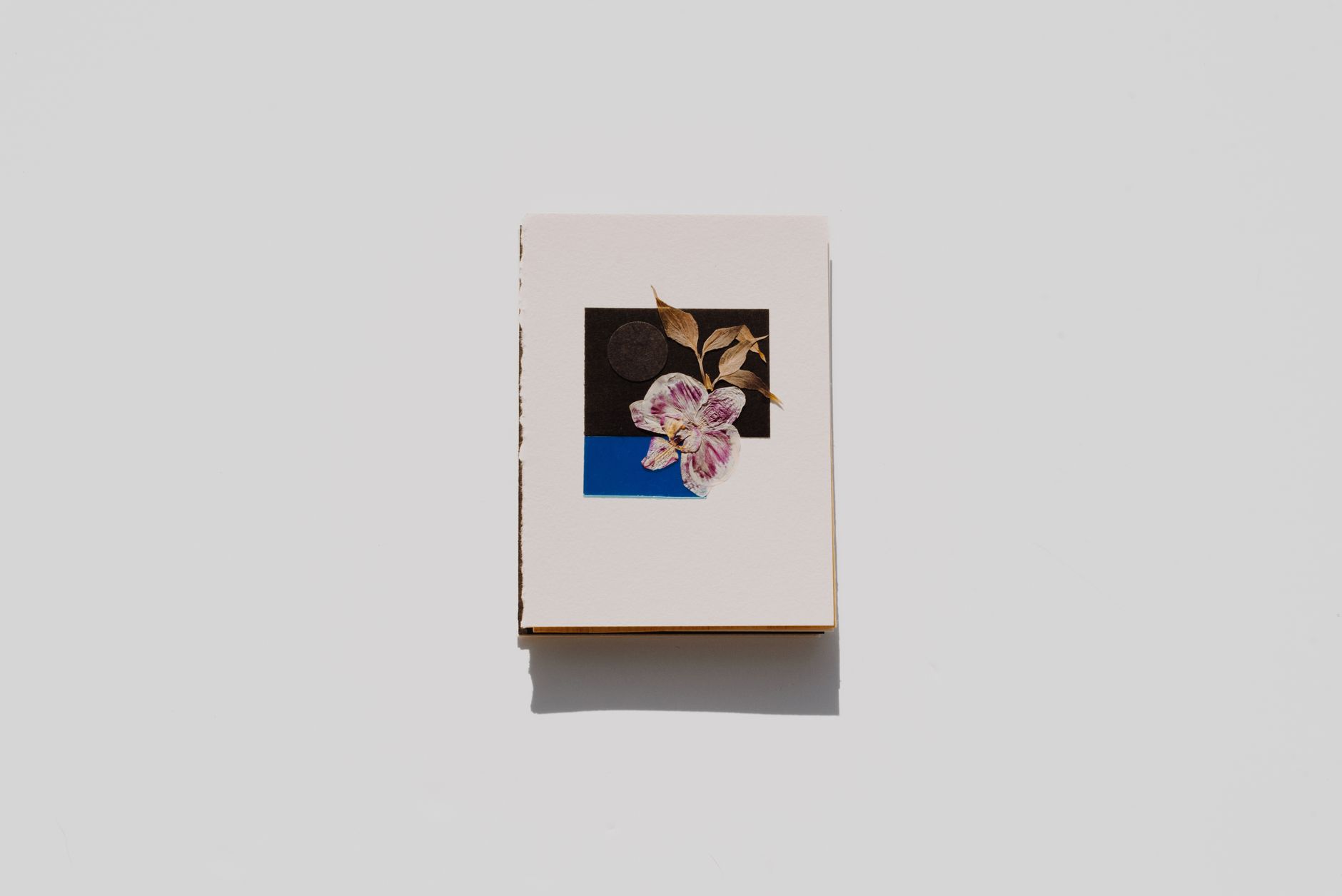 Fragment de carnet d'auteure en voyage